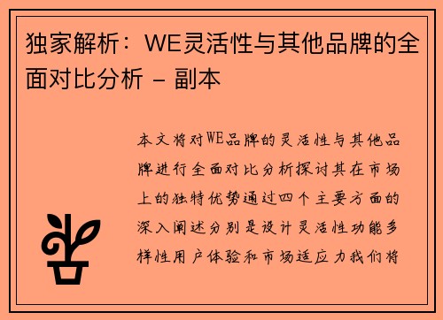 独家解析：WE灵活性与其他品牌的全面对比分析 - 副本